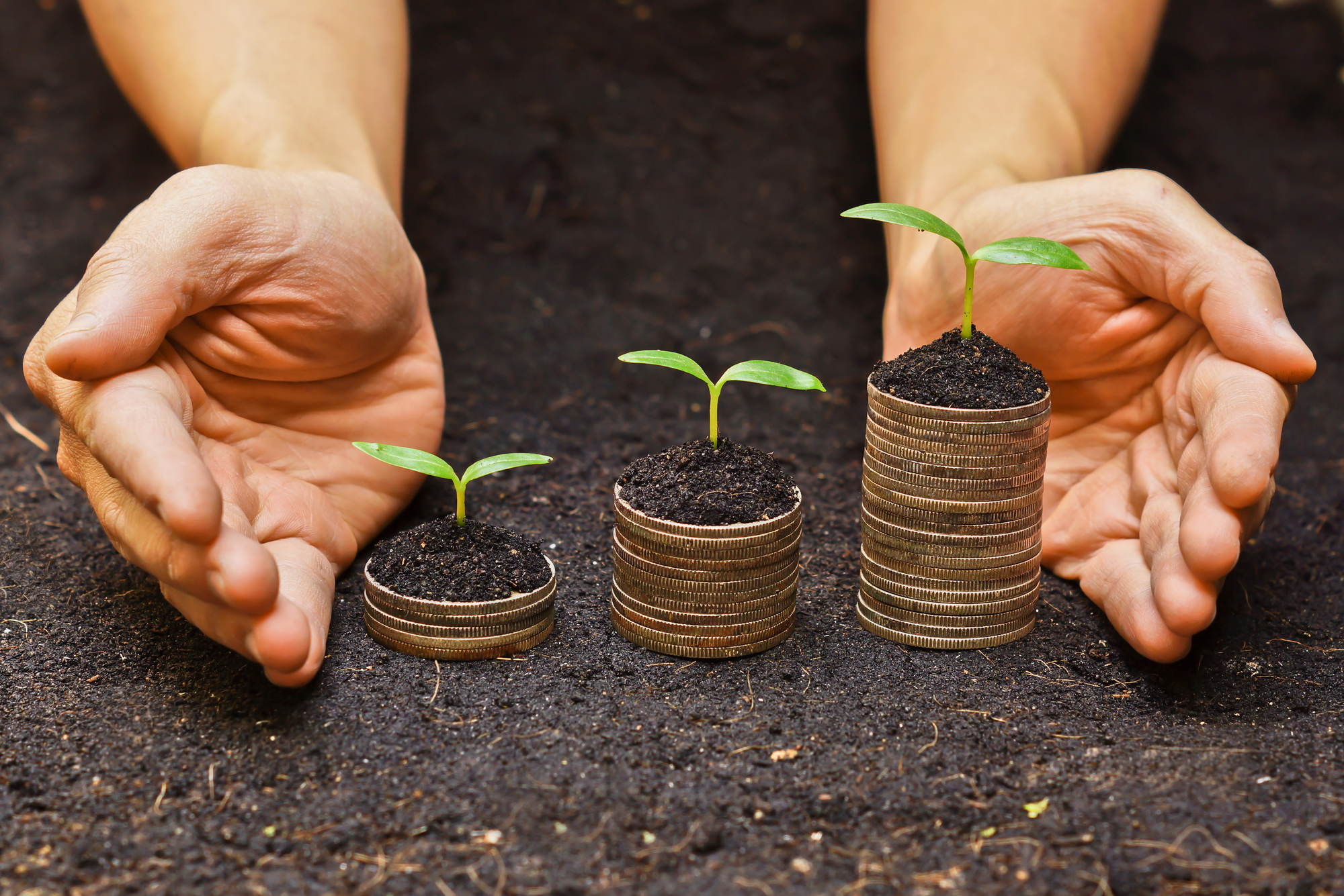 Процветание предприятия. Растение доход. Рука с монетой. CSR картинка. Сельский капитал. Процветание предприятия. Растение доход. Рука с монетой. CSR картинка.
